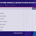 ОТКРЫТЫЙ ЛЕТНИЙ ЧЕМПИОНАТ ПО МИНИ-ФУТБОЛУ